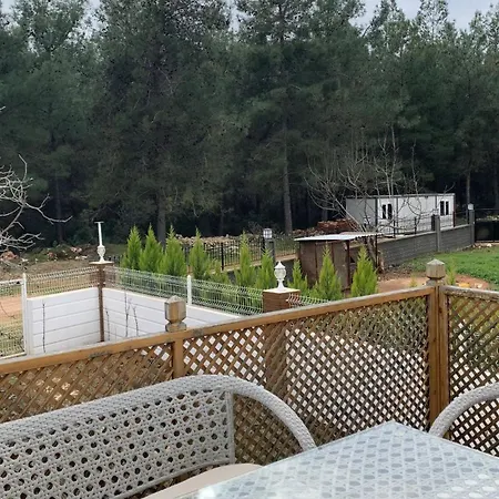 Deluxe In Forest 4